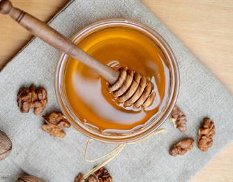 عسل أم سيلان: ما هو الأفضل للأكل؟